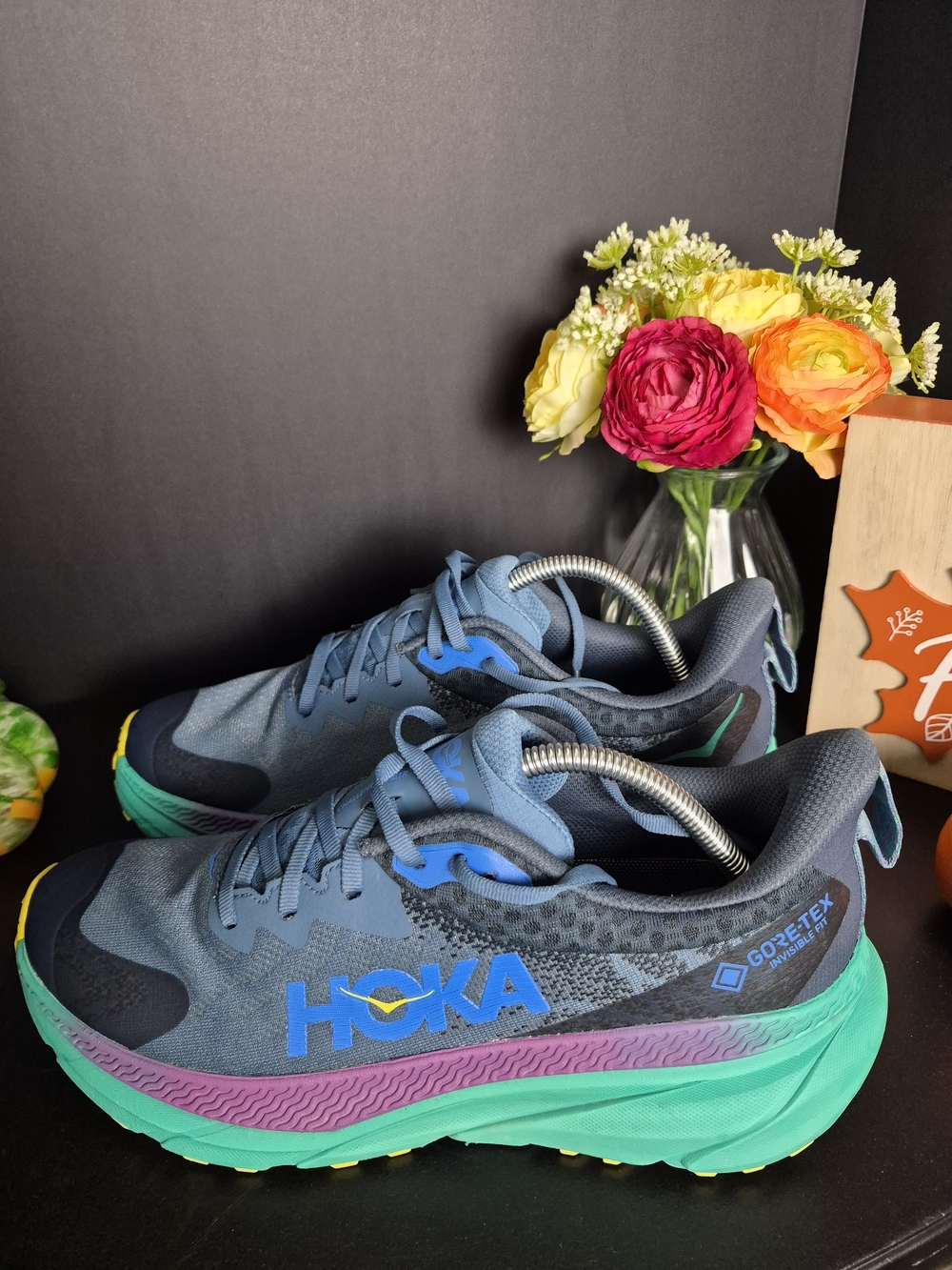 HOKA Women's Challenger ATR Gore-Tex! Size 10.5b